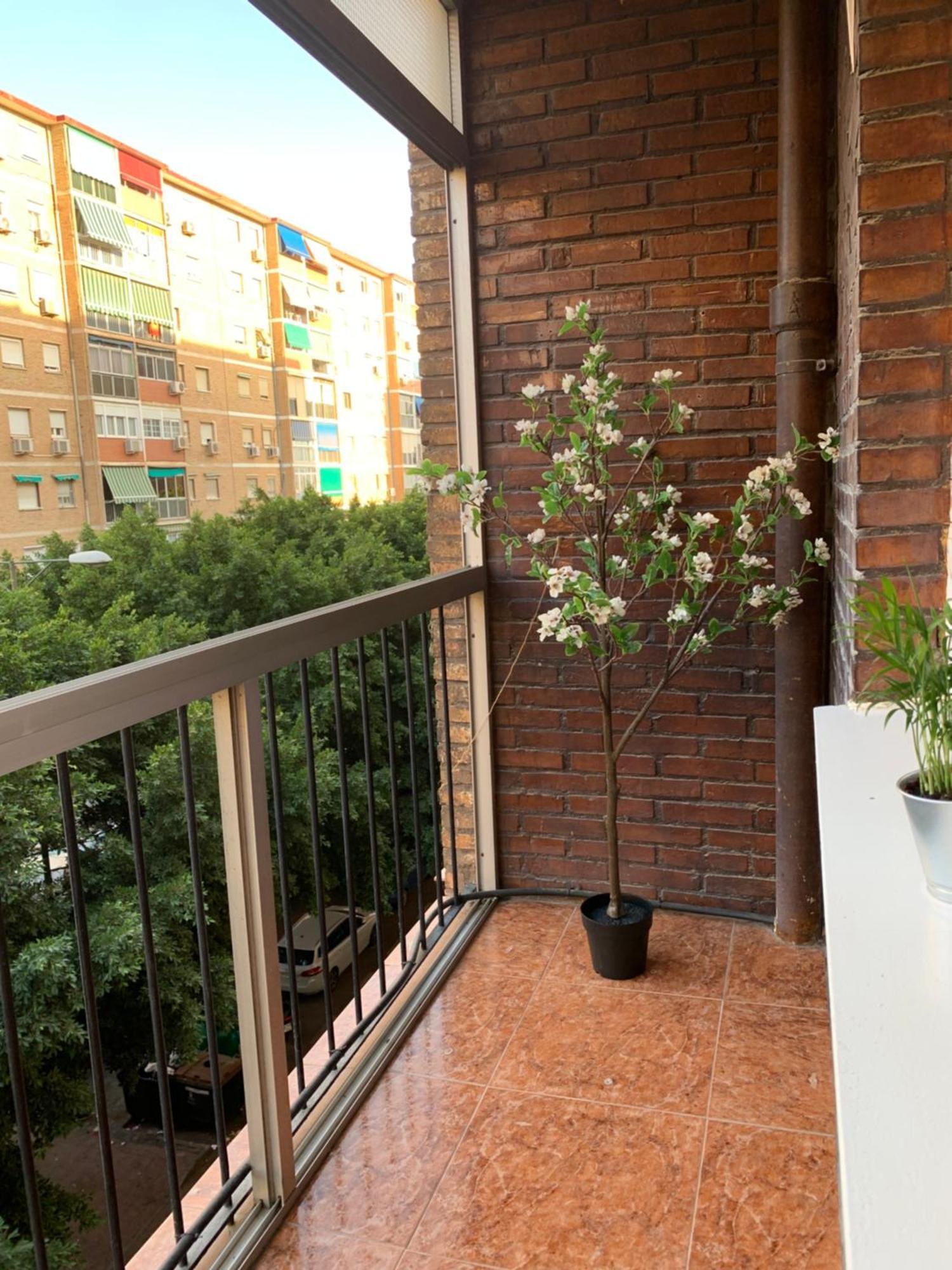 Ferienwohnung Bueno, Bonito Y Barato Málaga Exterior foto